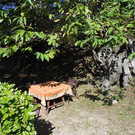 Fattoria Il Praticino Villa Castelfranco di Sopra Buitenkant foto
