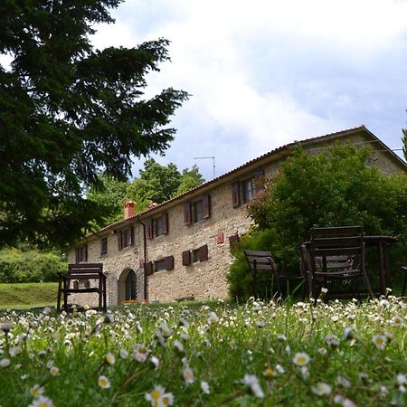 Fattoria Il Praticino Villa Castelfranco di Sopra Buitenkant foto