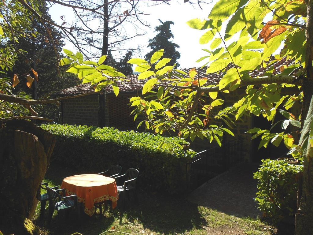 Fattoria Il Praticino Villa Castelfranco di Sopra Buitenkant foto