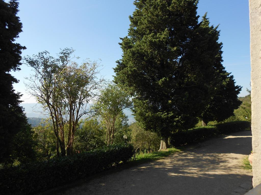 Fattoria Il Praticino Villa Castelfranco di Sopra Buitenkant foto